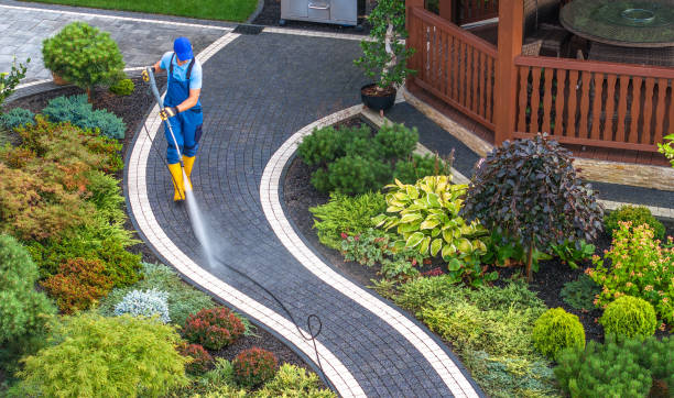 Best Local Pressure Washing Services  in Woodlynne, NJ